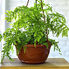 Кашпо Венеция подвесное 4л терракот купить в СОМ