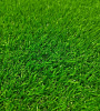 Искусственная трава Artificial Grass BM-1 3713 37мм; 1 м купить в СОМ