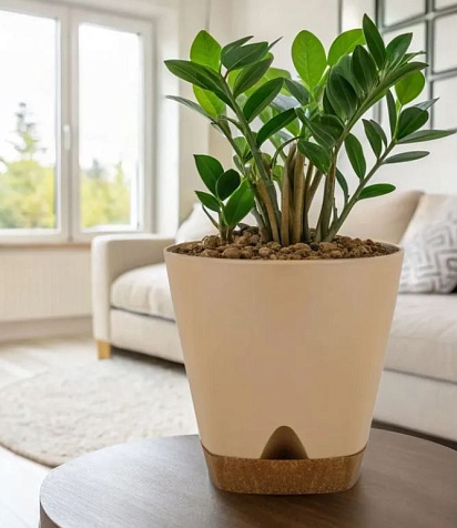 Горшок Ingreen Wood молочный шоколад/бук 0,65л купить в СОМ