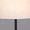 Светильник напольный 02224-2.6-01 BK купить в СОМ