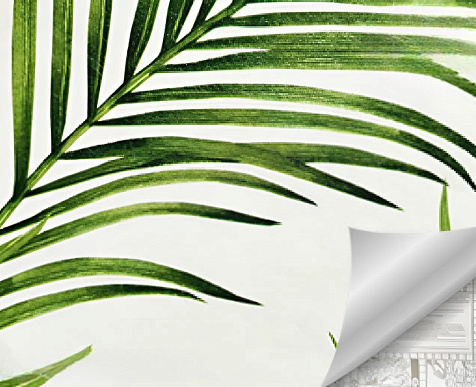 Пленка самоклеящаяся 1684Н Пальмовая ветвь, 45 см купить в СОМ